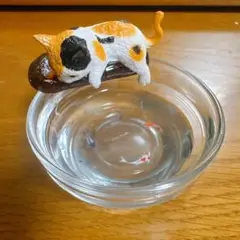 シーグラス:気ままな猫