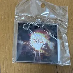 maimai でらっくす オンラインくじ Excalibur アクキー