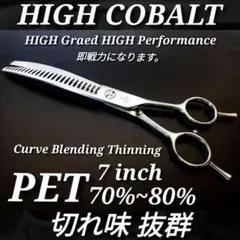 Item thumbnail for item df529c7d-8119-4d7d-9e97-cfcbfb40399a