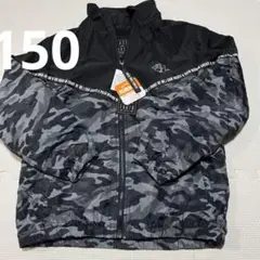 Item thumbnail for item 662d2752-6d9f-4792-bd73-89c214a3031f