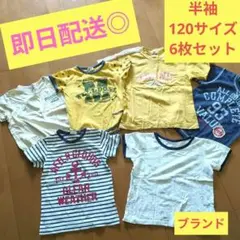 男の子　Tシャツセット　120cm 　動物　ブランド　普段着　最終価格　保育園