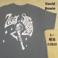 輸入古着 David Bowieデビッドボウイ ©2023 公式バンドTシャツ