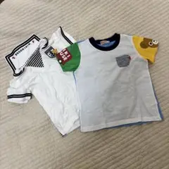 Item thumbnail for item a262e069-8a16-419a-9a4c-d3394ff11487