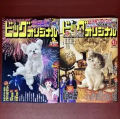 ビッグコミックオリジナル 9月5日号 9月増刊号 最新号