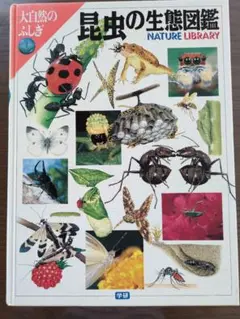 学研　昆虫の生態図鑑 NATURE LIBRARY