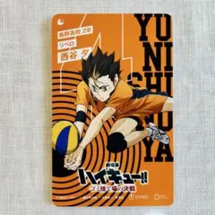 劇場版ハイキュー!! ゴミ捨て場の決戦 西谷夕 使用済み