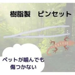 爬虫類 ピンセット レオパ ヒョウモントカゲモドキ レオパゲル ハンドメイド