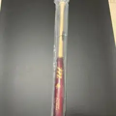 Item thumbnail for item 2c66b171-1157-48b8-80a9-6c2d85b0b622