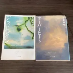 オーバーヒート　デッドライン　千葉雅也　セット販売のみ