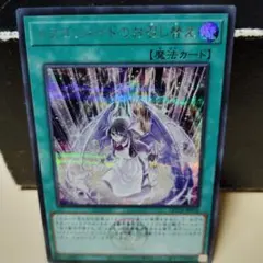 ドラゴンメイドのお召し替え　シークレット