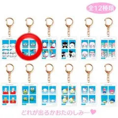 【在庫ラス1】シークレット証明写真風キーホルダー2 ハンギョドン