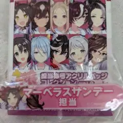 ウマ娘 担当称号バッジ マーベラスサンデー