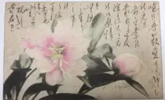 戦前絵葉書★明治38年？エンタイヤ★芍薬の花・手彩色★東京銀座四丁目成香館印刷