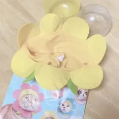 ねこのかぶりもの フラワーちゃん イエロー ポケモン プリン セット