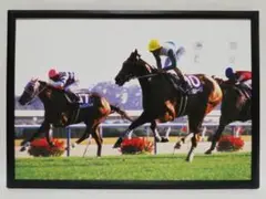 Item thumbnail for item 65d3c56d-2950-4ea9-a9d1-9c8c3d8d08c1