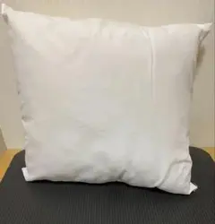 ホワイト 正方形クッション　45×45