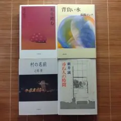 芥川賞受賞作 単行本 ハードカバー 訳あり 4冊セット まとめ売り