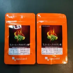 匿名 『 生コーヒークロロゲン酸 / 約1ヶ月分 2袋 』★ 燃焼系 ダイエット