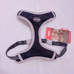 Item thumbnail for item 52c739c9-6b5a-48f8-867d-3840a9d228b7