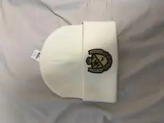 Item thumbnail for item 4aa5e808-6f4e-4e35-9a59-71d2ed710d54