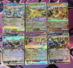 早い者勝ち‼️ブイズセット