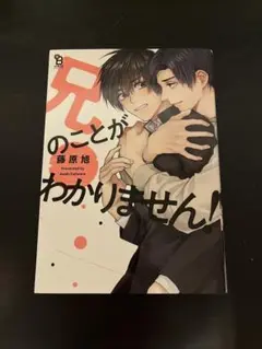 兄のことがわかりません！ BL漫画