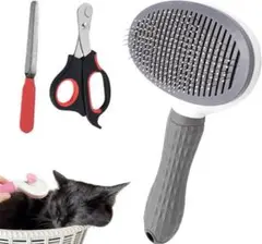 Item thumbnail for item 61fac70a-4bf5-4453-8c1e-910c474534e3