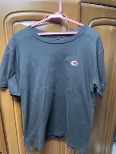 フルーツオブザルーム　ワンポイント半袖Tシャツ　ブラック　L