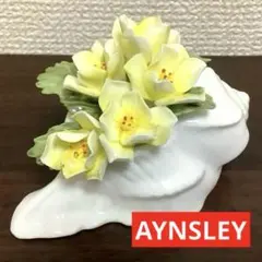 エインズレイ・Aynsley・陶花・ボーンチャイナ イングランド