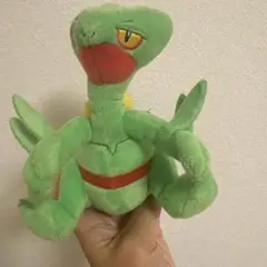 木の実ポケモン ぬいぐるみ