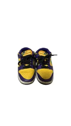 NIKE DUNK リサレスリー 23.5