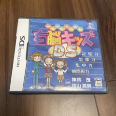 右脳キッズDS 神林式脳力開発法