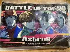 Astro9 クッション
