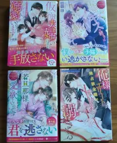 エタニティ文庫　4冊セット