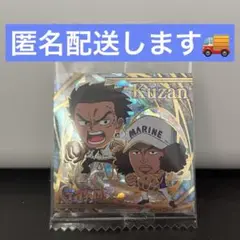 にふぉるめーしょん ワンピース 大海賊シールウエハース LOG11 シークレット