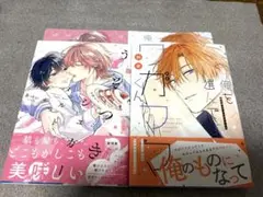 BL新刊 うそつきシュガーメルト 俺をを選んでよワガママくん　リーフレット