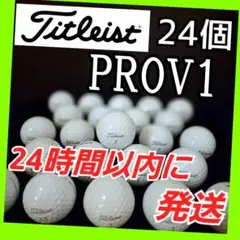 #115 ロストボール タイトリスト PRO V1 24個