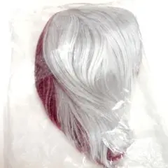 Item thumbnail for item 454ef02d-c071-4430-a3e0-b0a93bac5dab
