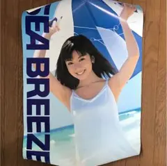 持田香織(E.L.T.) SEA BREEZE シーブリーズ　ポスター3枚セット 持田香織(E.L.T.) SEA BREEZE シーブリーズ ポスター3枚セット