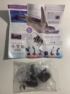ネイチャーテクニカラー 小笠原 特装版 アオウミガメ