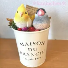 なかよしインコとさくら文鳥☆:..インテリア雑貨。*.。.:*・・*