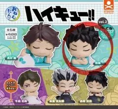 ハイキュー　おねむたんvol.2 セカンドユニカラー　岩泉一