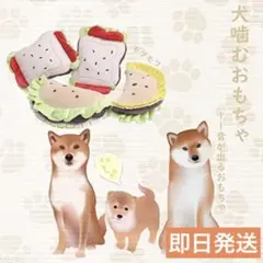 Item thumbnail for item 075becf3-e586-4a4e-b864-6dadd67679a8