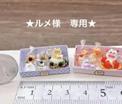 ★ルメ様　専用★ 箱入りタルト2種