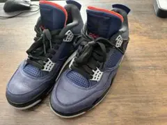 エア ジョーダン 4 jordan 25.0