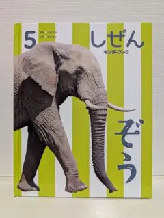 しぜん 2024年5月号 ぞう キンダーブック フレーベル館
