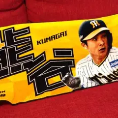 阪神タイガース 熊谷選手 シークレット フェイスタオル 応援グッズ