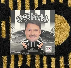 ヴィッセル神戸 VISSEL CHIPS プレイヤーシール トゥーレル選手