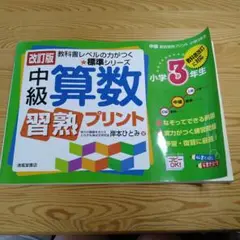 中級算数習熟プリント 小学3年生