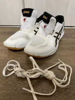 Item thumbnail for item 9d1c0907-af06-48d7-a2cd-02fc08414c01